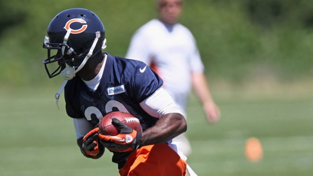 Bear Bites: Who Is the Most Overrated Bear?
