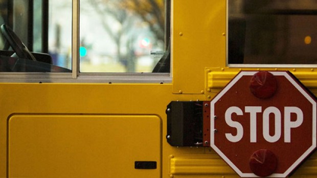 Illinois to Charge For School Bus Rides?