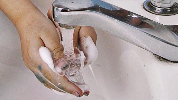 Alderman Call for Ban on Antibacterial Soap Chemical
