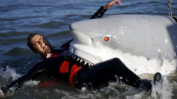 Wednesday Watch List: Sharks Never Sleep