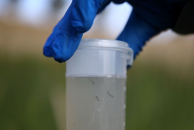 First Chicago-Area Case of West Nile Virus is Suburban Woman