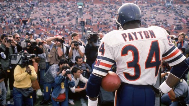 10 Reasons to Love the Bears