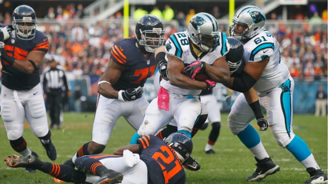 Game Photos: Bears Beat Panthers