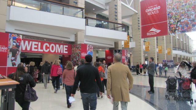 Meet The Chicago Marathon Runners