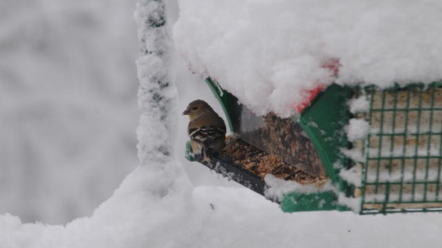 Your Photos: Snowy Weather
