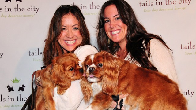 Pooches and Their People