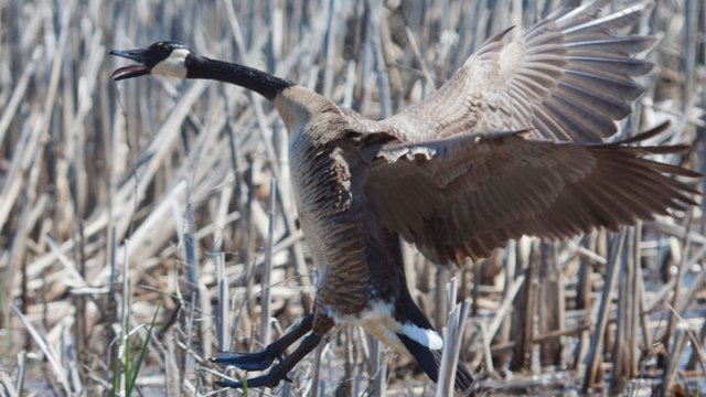 Brant's Weather Photos