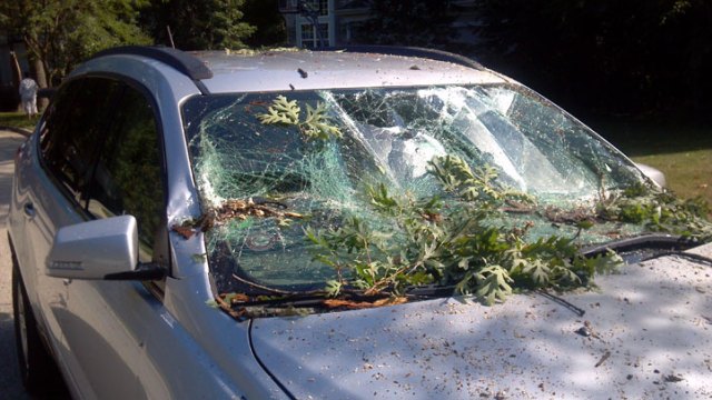 Photos: July 22 Storm Damage