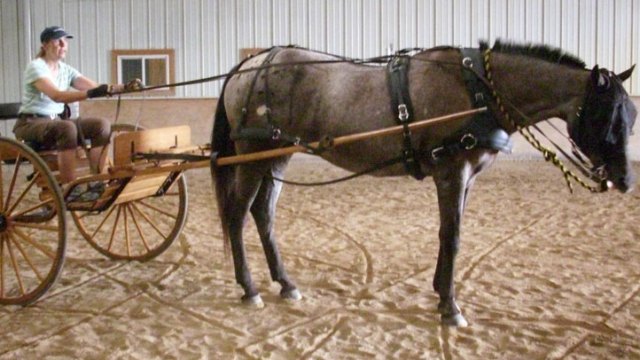 NBC Chicago Viewers Share Their Crappy Rides