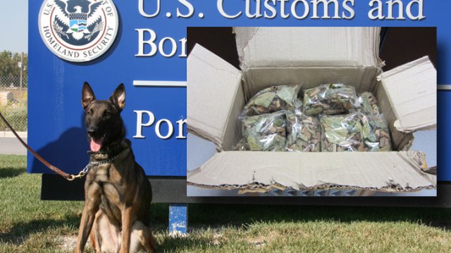 Up in Smoke: Illinois' Biggest Drug Busts