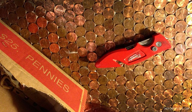 Creating The Penny Floor