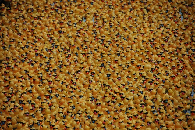 Windy City Rubber Ducky Derby