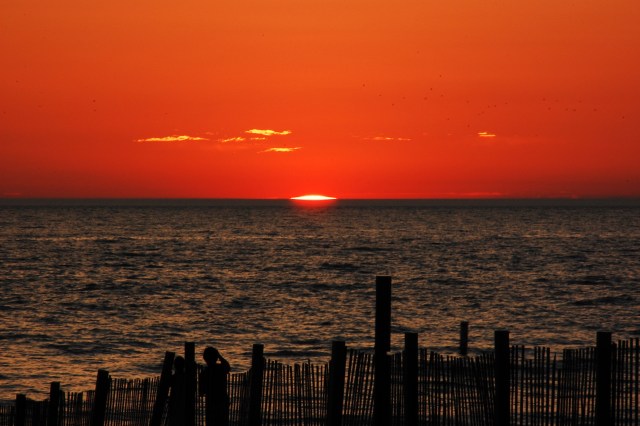 PHOTOS: Summer in the City