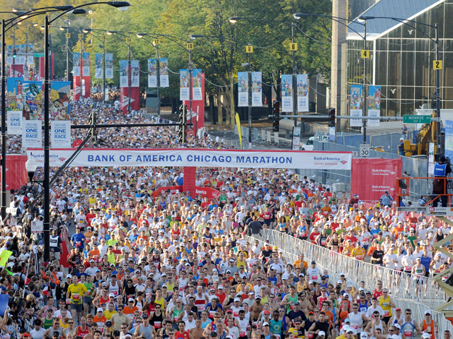 Chicago Marathon 2008