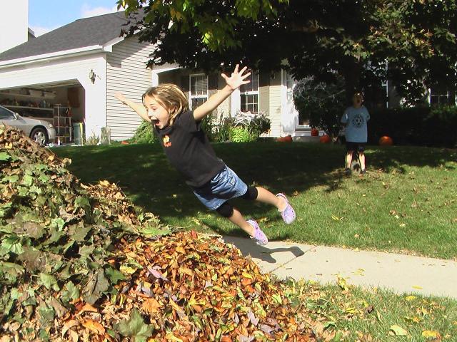 Fall into Winter