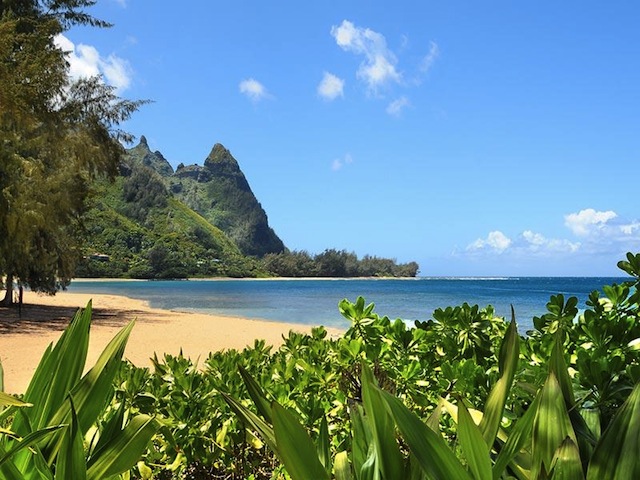 Hawaiian Estate From