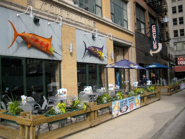 Bears Bar Crawl: Where to Watch