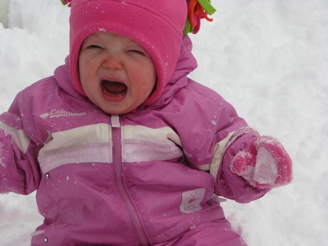 Your Pictures: Winter Wonderland?