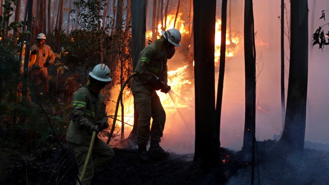Portugal forest fire death toll rises to 39