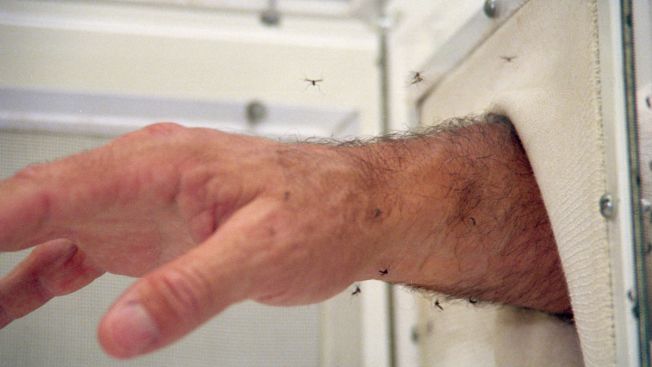 West Nile virus case confirmed in Mississippi