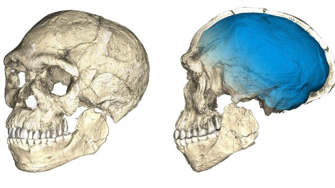 This is us: Earliest fossils of our species found in Morocco