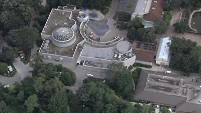 NBC Chicago's helicopter takes a tour of a few of the areas hardest hit by Tuesday's storms.