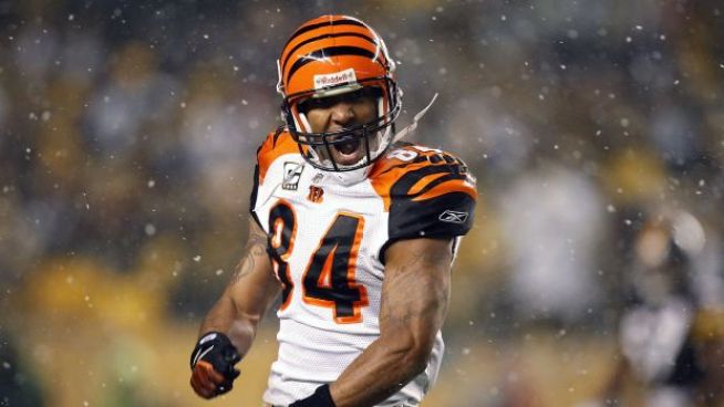 Will Houshmandzadeh Fit on Bears Jersey?