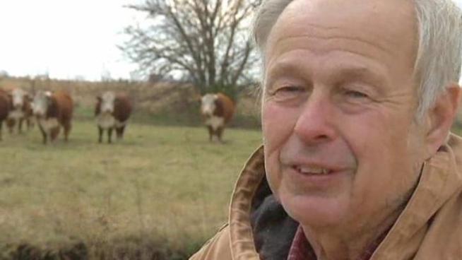 Coyote attacks are on the rise in Illinois as they move into more residential areas.