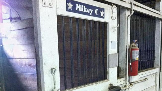 After eight years of service to the Chicago Police Department, a horse named Mikey C. suffered a fatal heart attack.