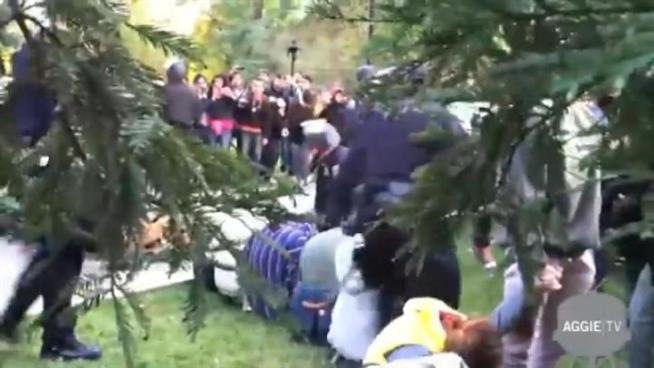 The UC Davis police chief stepped down to help the university move forward after last fall's infamous pepper spraying of student protesters by campus police.