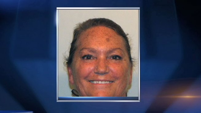 Schmidt was charged with one count of criminal damage to property and one misdemeanor count of criminal trespass to property. Dick Johnson reports.