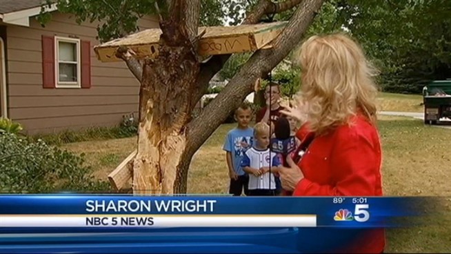Thunderstorms that swept through Chicagoland Friday night produced quarter-sized hail and destructive winds that knocked out power and brought down trees. NBC 5 Sharon Wright reports on the cleanup and efforts to restore power the day after.