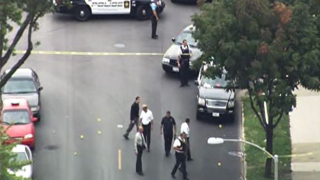 Berwyn police said a woman was out walking her dog before 8 a.m. when a pitbull escaped from under a fence and fatally attacked her small dog. When officers showed up, police said the dogs lunged at them too.