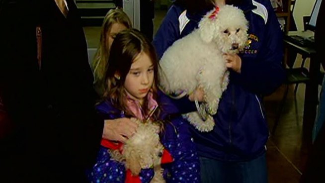 http://media.nbcbayarea.com/images/blagojevich-dog-maltipoo-3.jpg