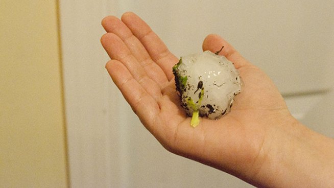 Summer Storm Brings Hail, Lightning