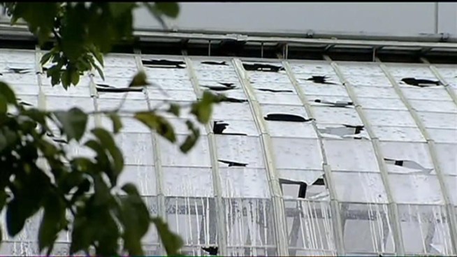 Hail shattered several rooms at Garfield Park Conservatory during Thursday's storm, causing 