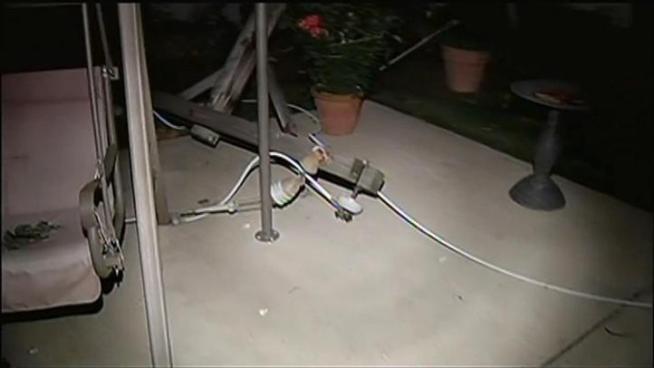 The wires have been in Raffaella Caputi's yard since Monday's storm blew through Elmwood Park.