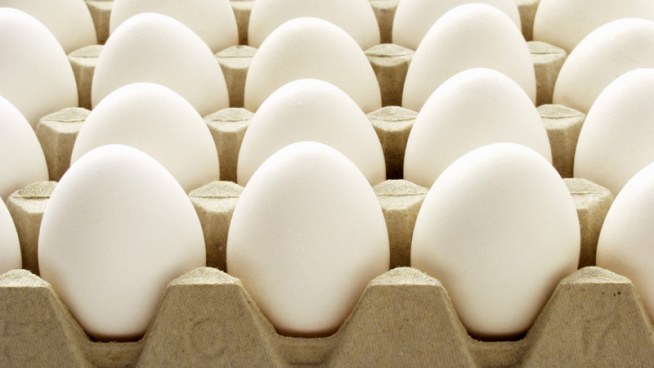 Free Eggs!  (If You're Hungry)