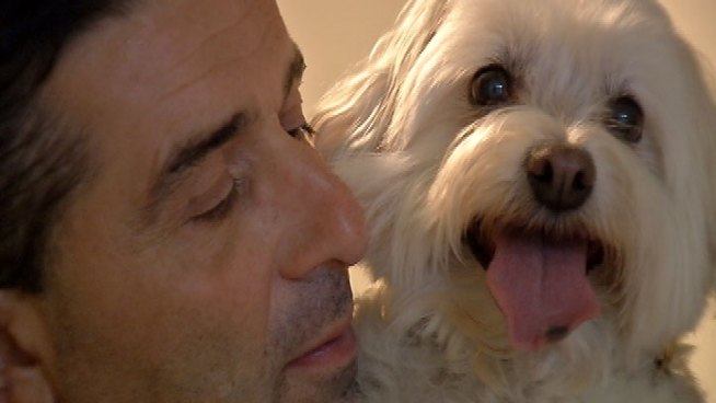 Experts say they've seen physical changes in patients who receive visits from cherished pets while in the hospital. Nesita Kwan reports. Read the story <href=