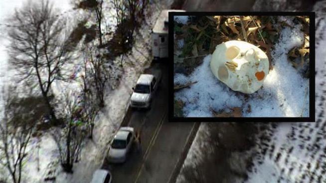Bull Valley resident Leanne See-Garcia's 12-year-old son, Tarren, was waiting for the school bus early Tuesday morning when he found the skull near the family's mailbox at 1500 Cherry Valley Lane.  Hours after the discovery, Bull Valley police responded, calling in several nearby agencies, such as the McHenry County Coroner and the sheriff's offices, to help with the investigation.  During a search of the Garcia's yard, police discovered a second skull near some pine trees at the edge of the property.  Both human skulls appear to be very old.