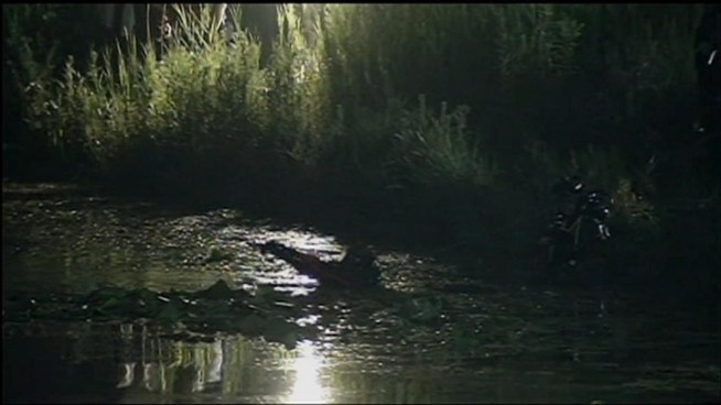 Divers on Tuesday continued to search for a Bolingbrook man who disappeared when his canoe tipped over in a retention pond in unincorporated Lemont.