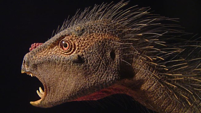 A new species of plant-eating dinosaur with tiny, 1-inch-long jaws has come to light in South African rocks dating to the early dinosaur era, some 200 million years ago.