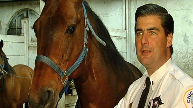 Horses were released from stables, sprayed with fire extinguishers, officers said. Natalie Martinez reports.