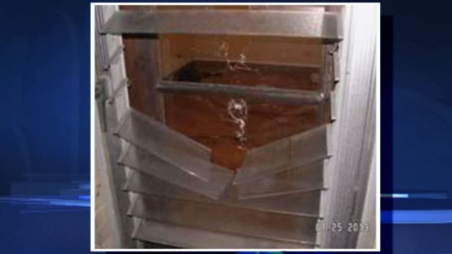 Roger Nelson was able to get his dogs back inside the house but the coyotes kept attacking. Emily Florez reports.