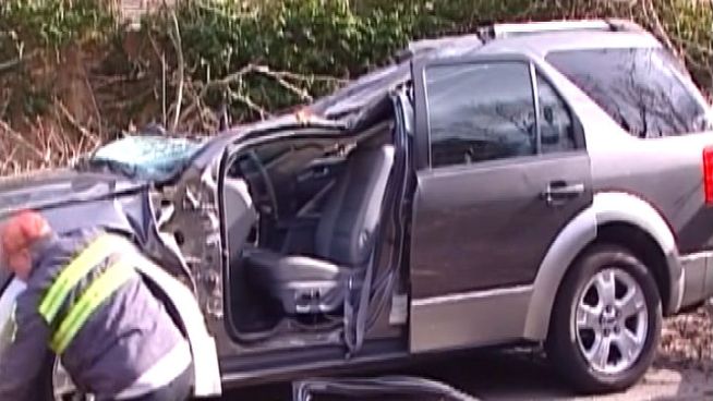 Strong winds likely uprooted the tree that toppled onto the vehicle, trapping a family inside.