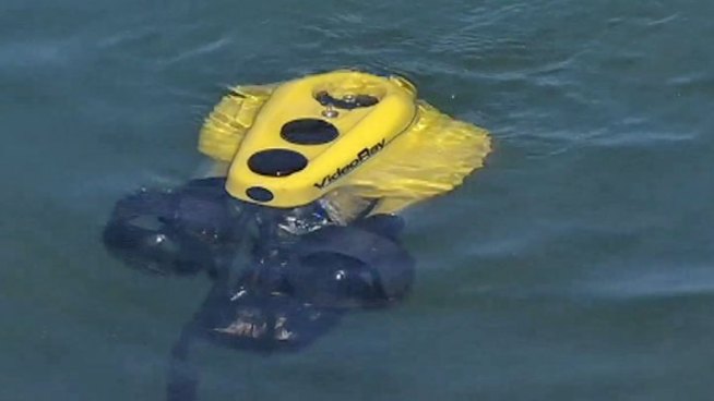 http://media.nbcbayarea.com/images/underwater-rumba.jpg