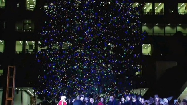 The 64-foot Colorado spruce from Prospect Heights was one of 25 submitted to the city for consideration.