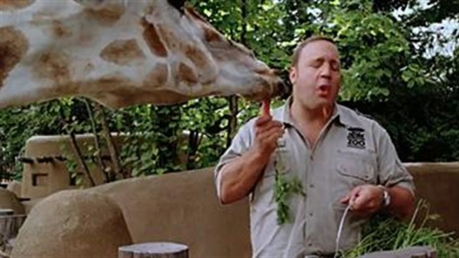 http://media.nbcbayarea.com/images/zookeeper_722x406_1935880720.jpg