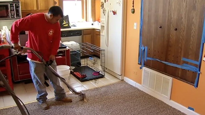 Johanna Torres and Matthew Greenberg filed a lawsuit this week against their downstairs neighbor whose 20 cats they claim have ruined their condo with a permeating smell of urine and feces.