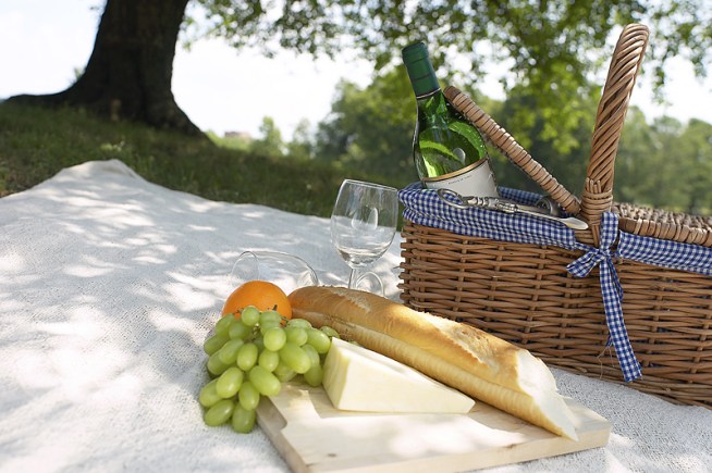 A Venetian Night Picnic